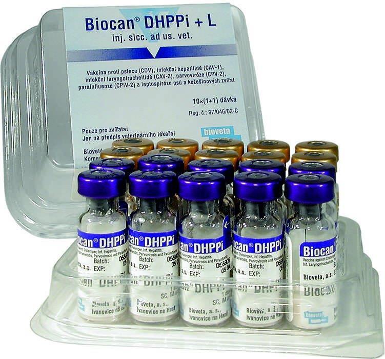 Вакцина для собак l. Вакцина Биокан DHPPI+LR для собак. Вакцина Биокан RL для собак. Чешскаяваецина Биокан.