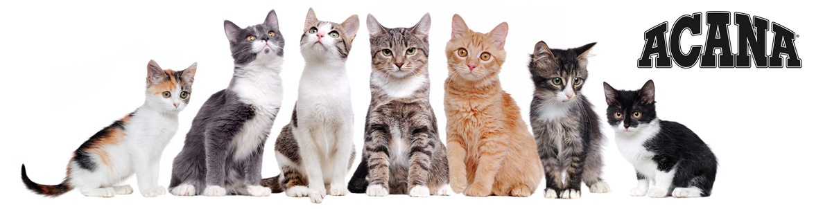 Купить Корм для кошек Acana (Акана) Grasslands Cat, сухой, 1,8 кг (a64218)